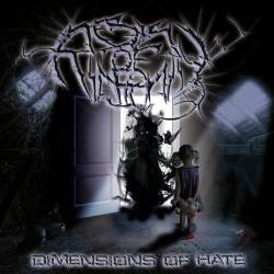 Reek Of Insanity : Dimensions of Hate